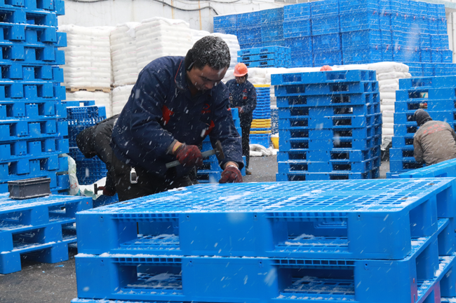 打鐵必須自身硬，質量好的塑料托盤有什么要求？