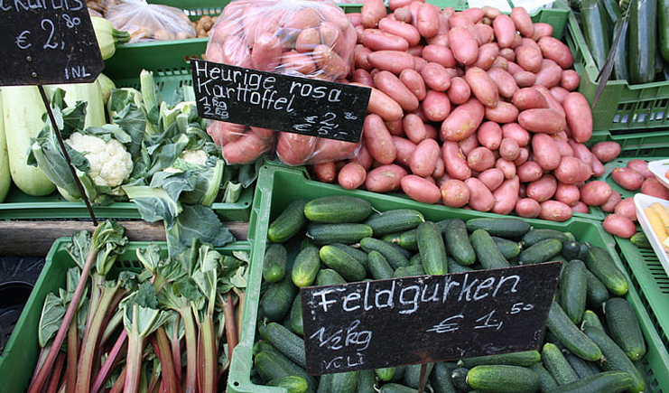 蔬菜水果塑料周轉(zhuǎn)筐，帶你玩轉(zhuǎn)不一樣的周轉(zhuǎn)筐