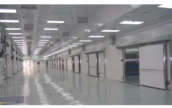 這款塑料托盤打入“冷宮”，也能混的如魚得水？